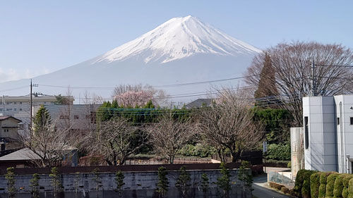 客室から見える富士山（３月３１日撮影)