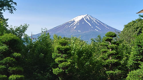 丸弥荘庭から見える富士山（６月１日撮影)